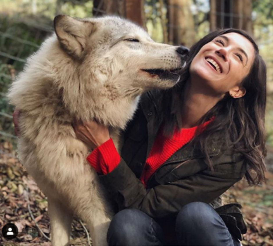 Домашний волк с человеком