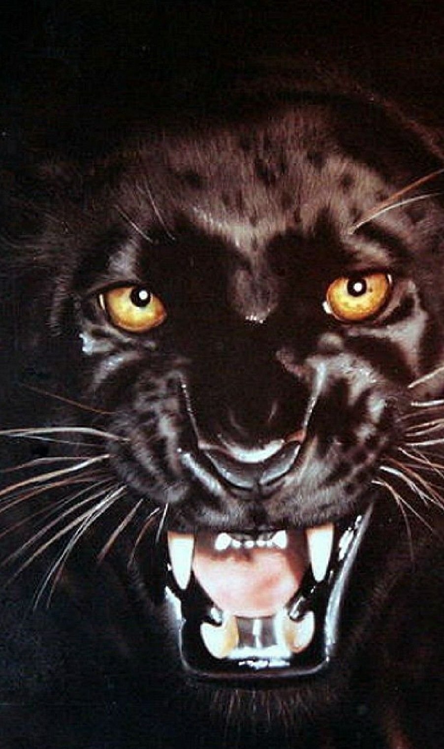 Черная пантера оскал