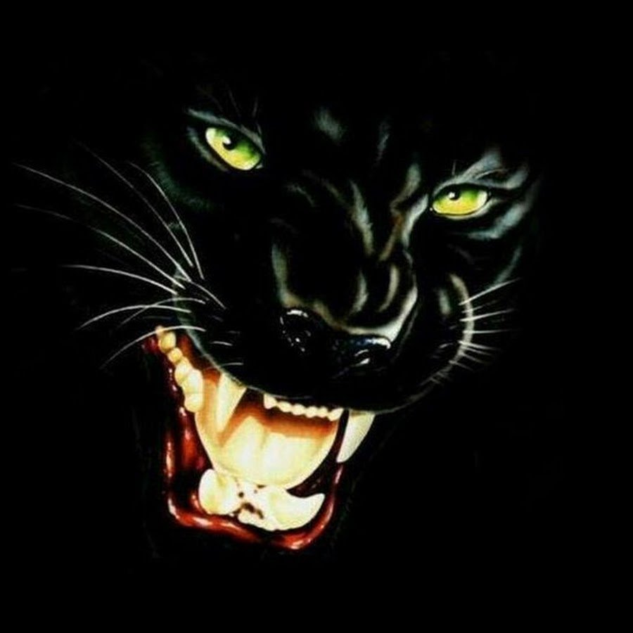 Черная Пума оскал