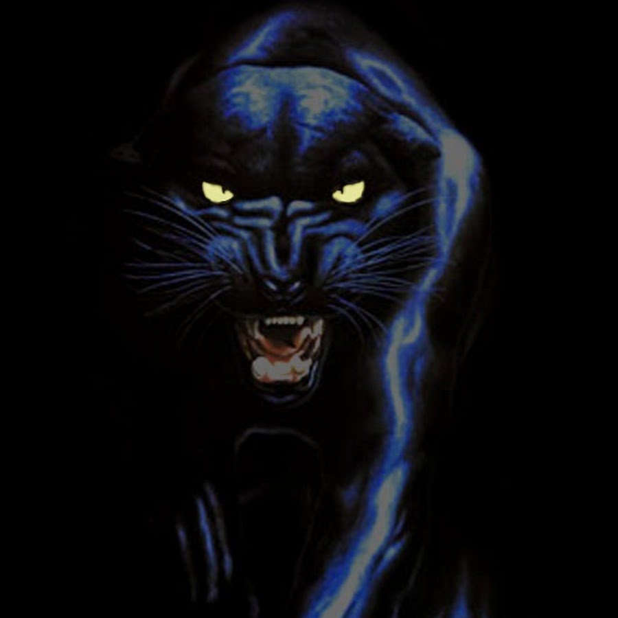 Картинки на аватарку чёрная Кашира