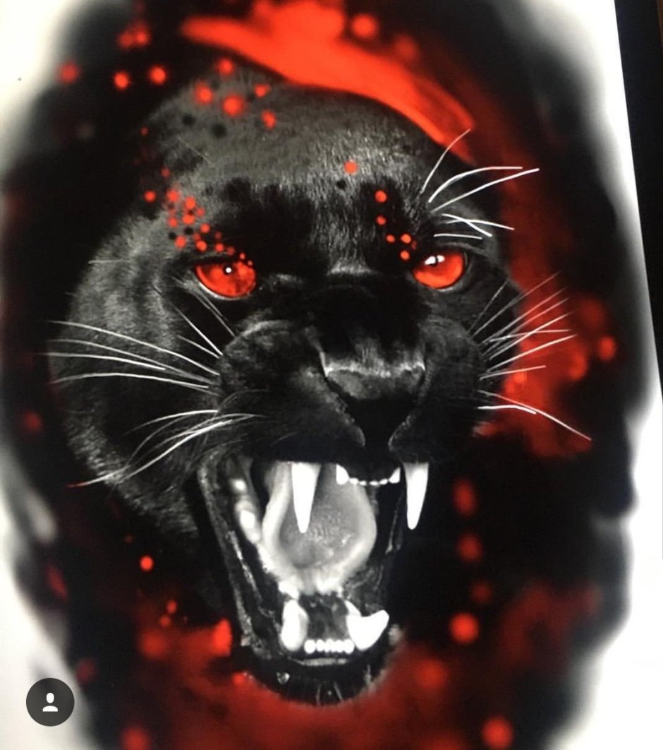 Пантера, оскал пантеры