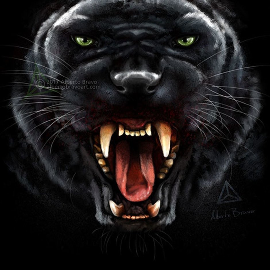 Пантера рычит