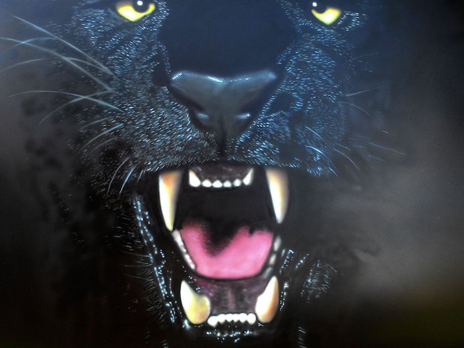 Оскал пантеры