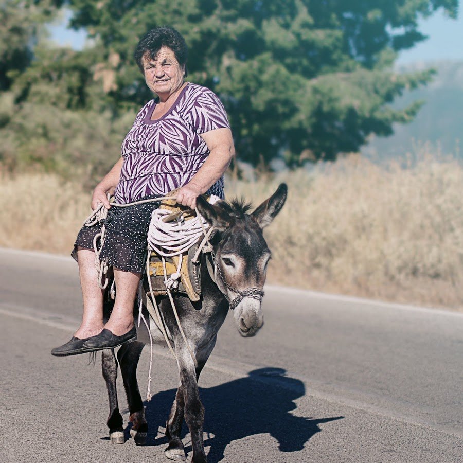 Верхом на осле