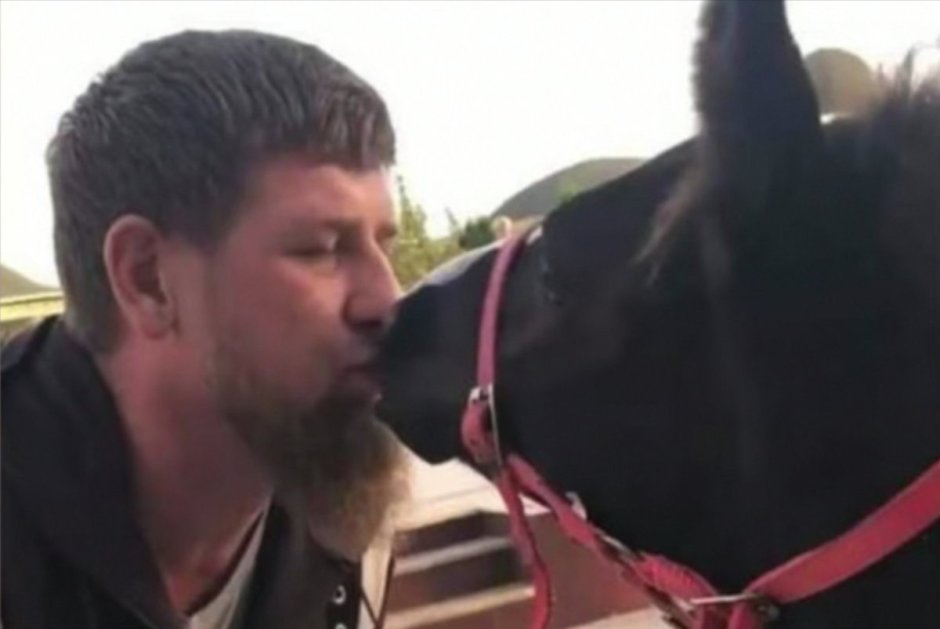 Кадыров и ишак