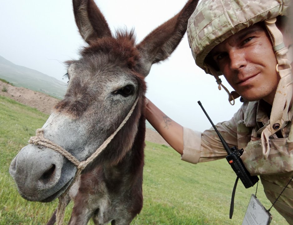 Волосы ишака