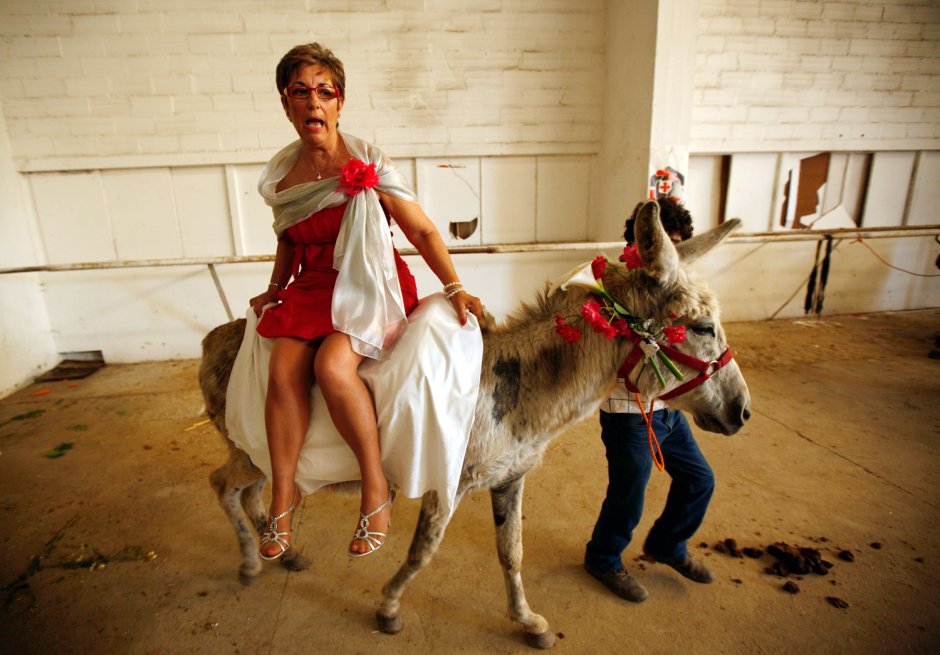 Верхом на осле