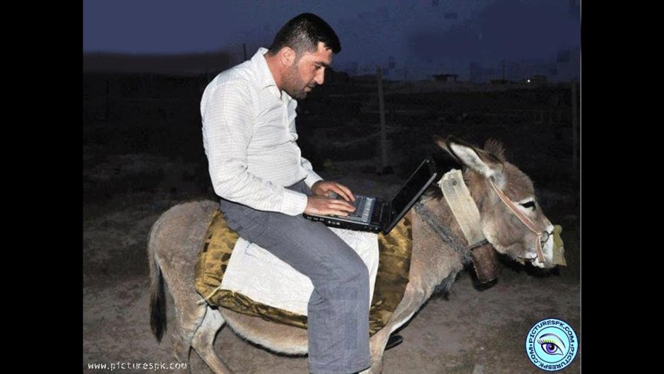 Человек на осле