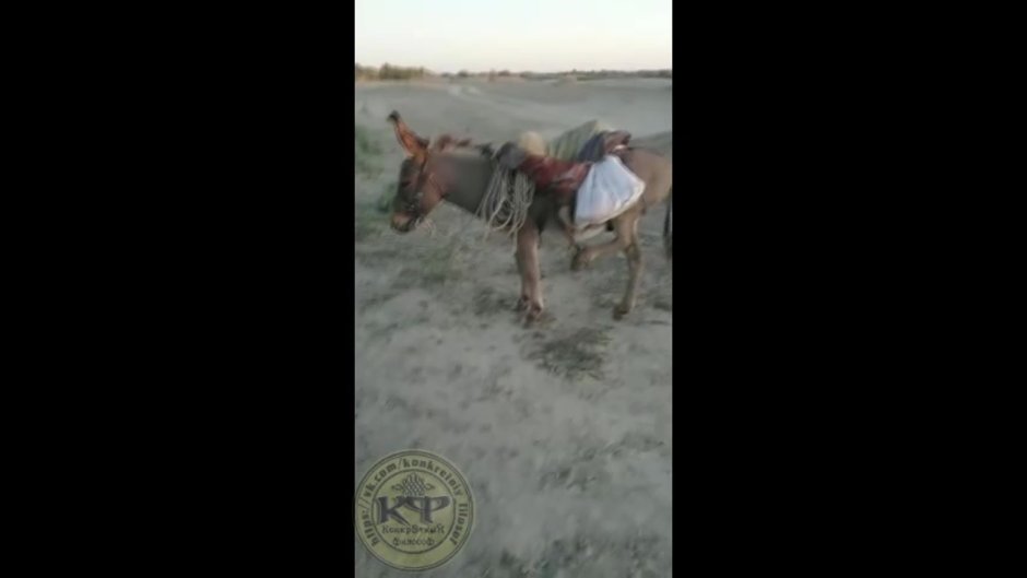 Осел на ручном тормозе