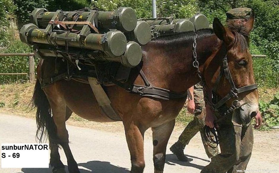 Осел с пулеметом