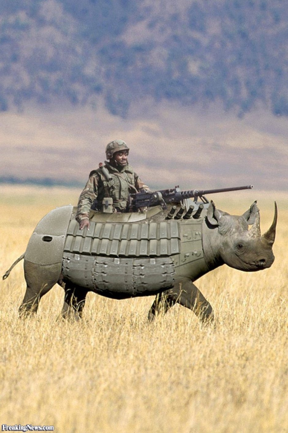 Боевой Бегемот