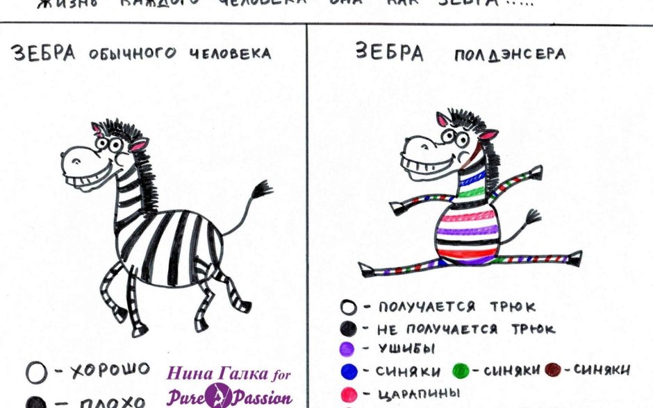 Зебра Мем