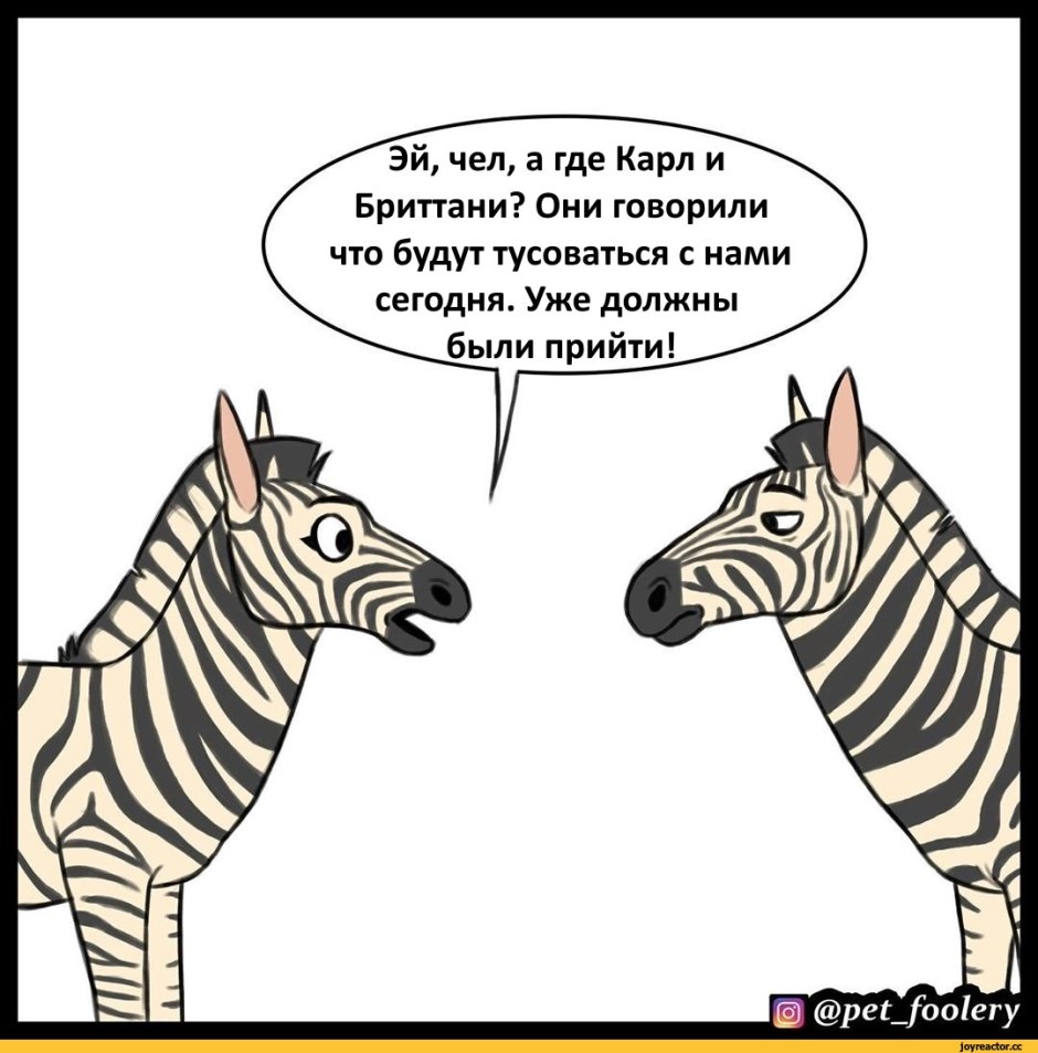 Зебра комикс