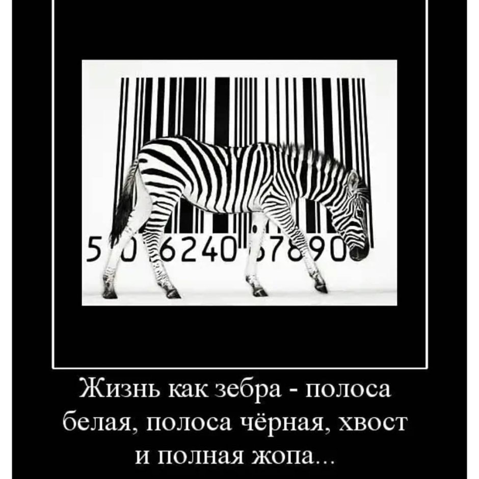 Черно белые полосы в жизни цитаты