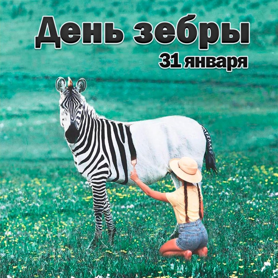 Забавная цитата о танцах