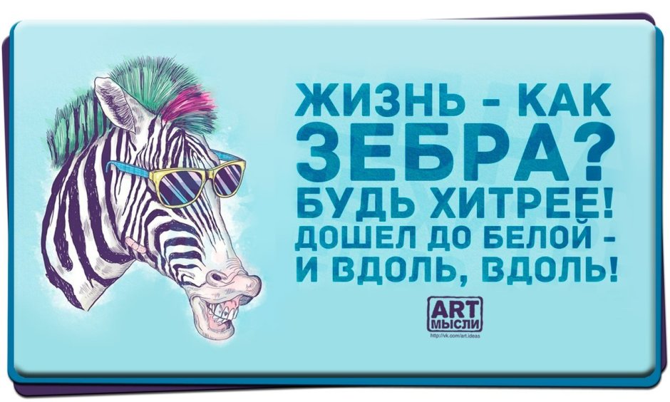 Зебра прикол