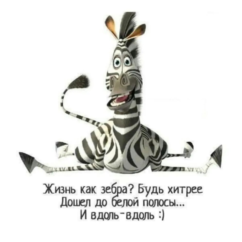 Чёрная и белая полоса в жизни