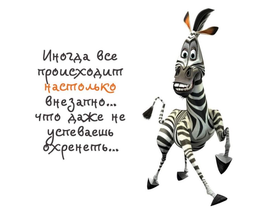 Зебра смеется