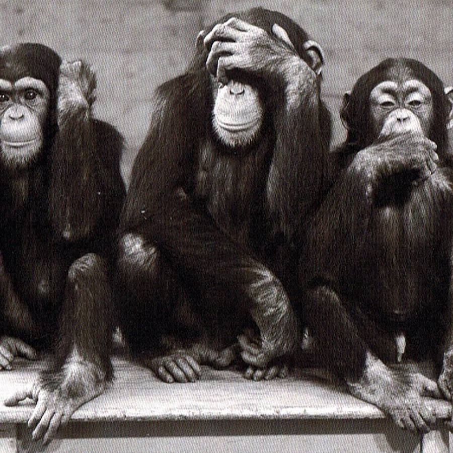 Три обезьяны не вижу не слышу не скажу