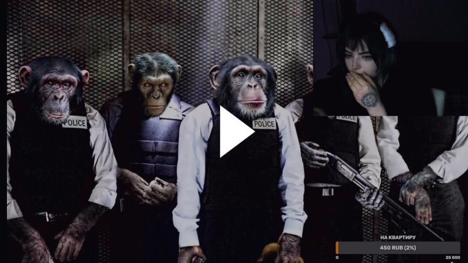 Вооруженная обезьяна