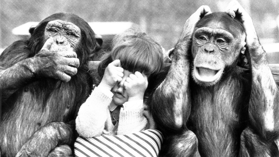 Обезьянки три черно белые