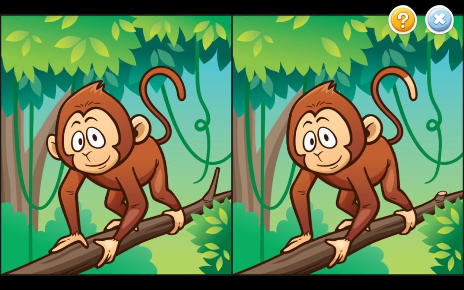 Найди отличия обезьяны