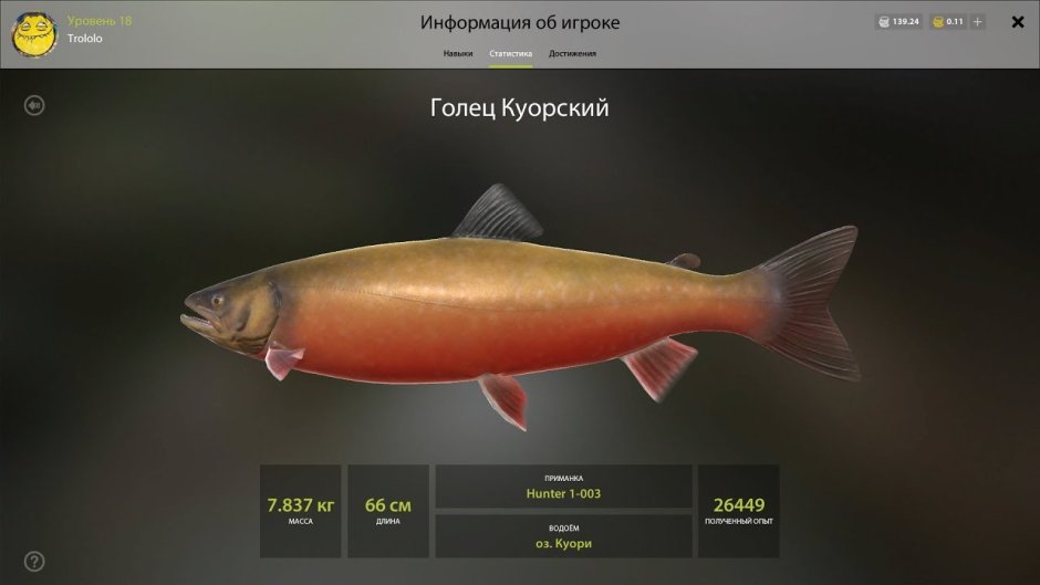 Голец куорский