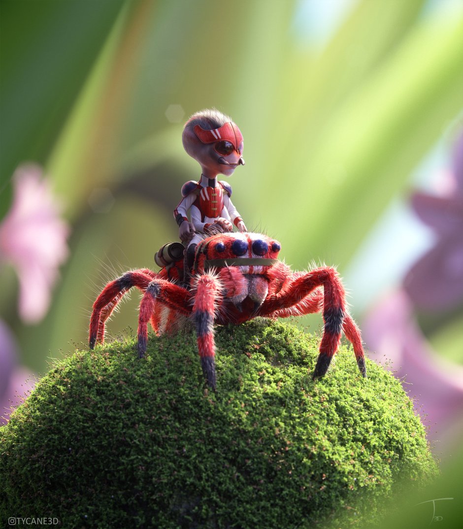 Паук скакун зеленый