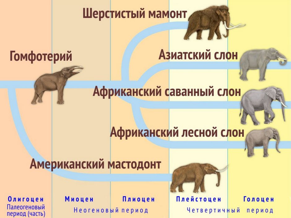 Возрождение исчезающих животных