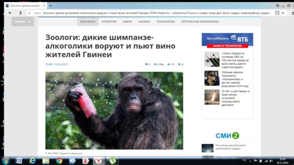 Совещание обезьян
