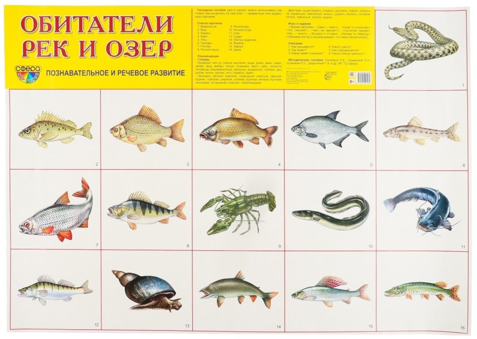 Морской заповедник Саут-Уотер-Кей,