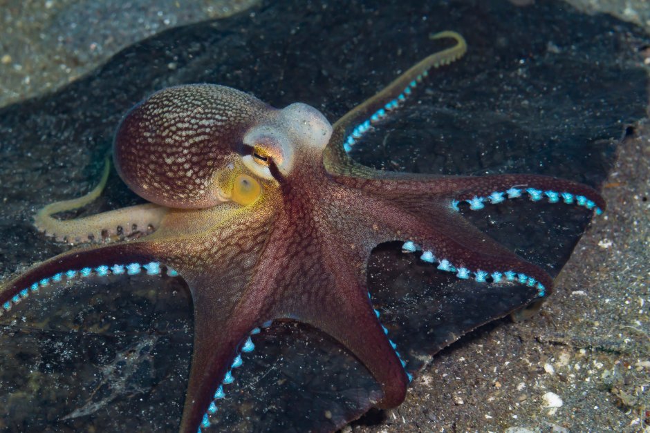 Слияние Эгейского и Средиземного морей в Турции