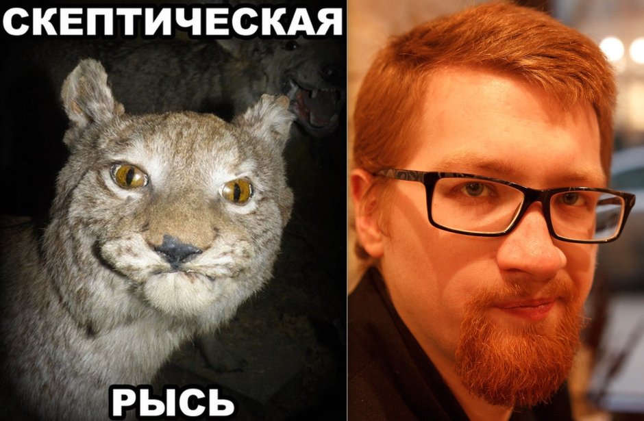 Скептическая Рысь