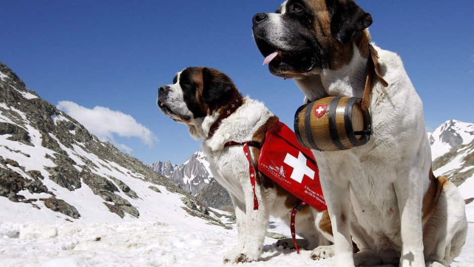 Монастырь сен Бернар