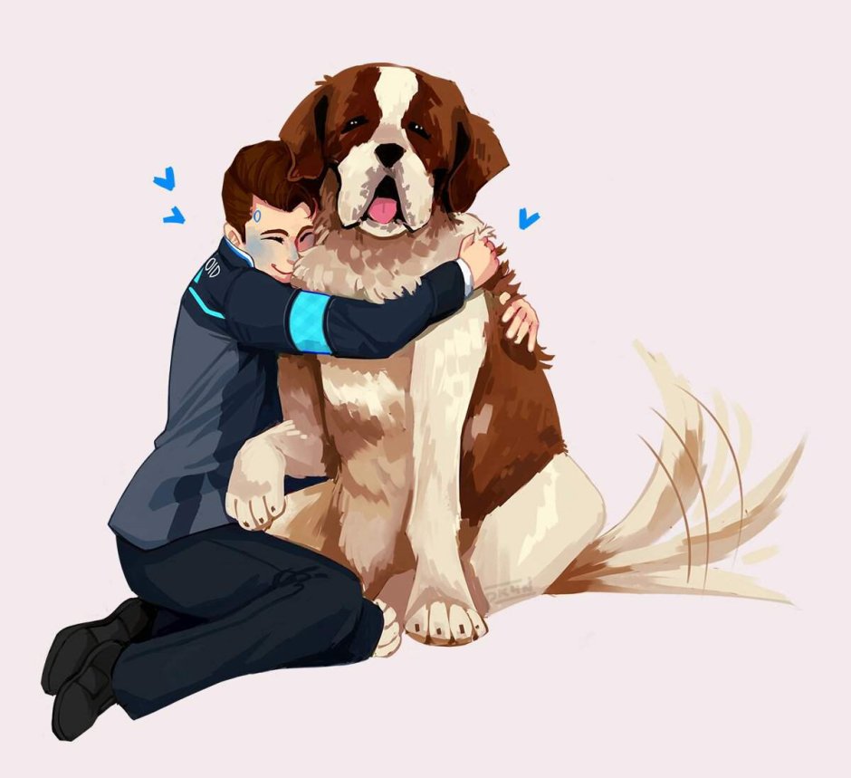 Сенбернар Бенедиктин с человеком