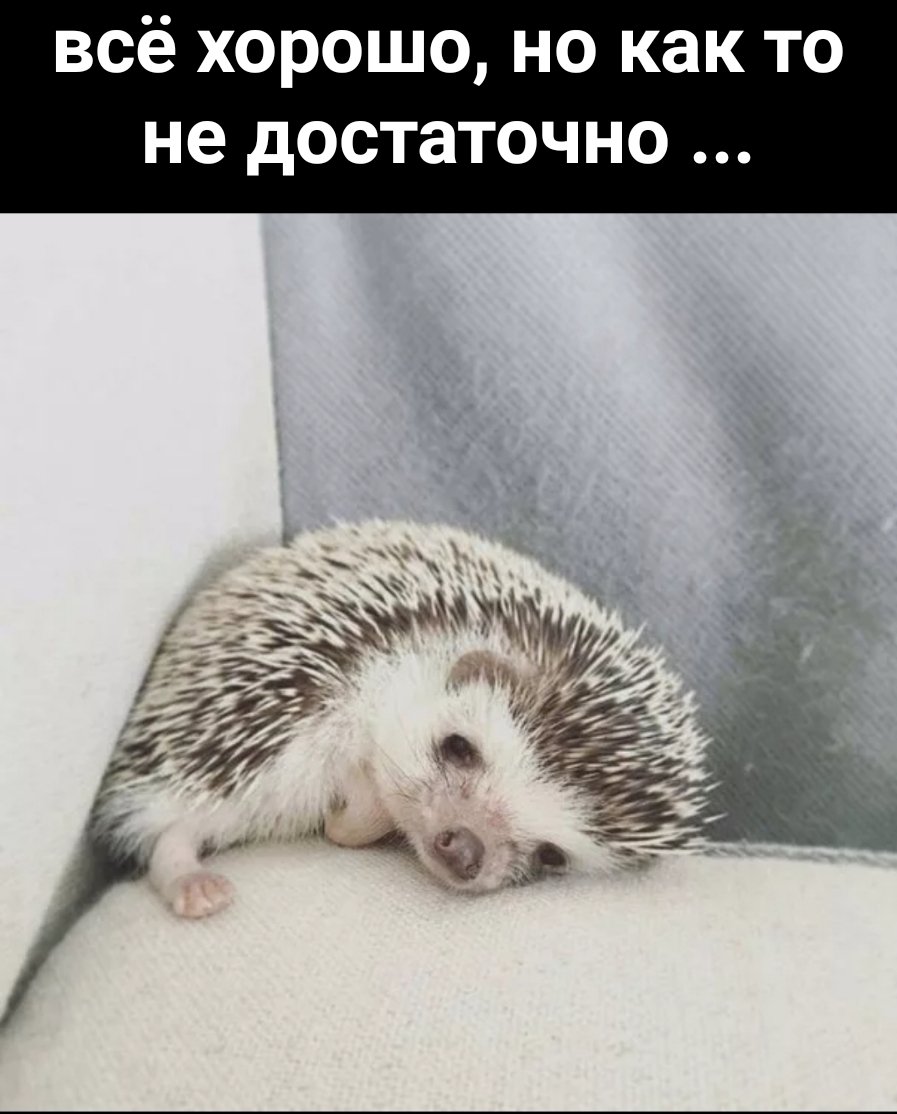 Печальный Ежик