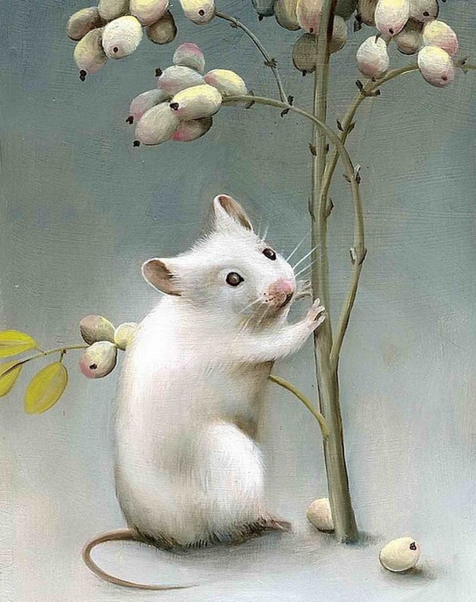Иллюстратор Jean Bradbury