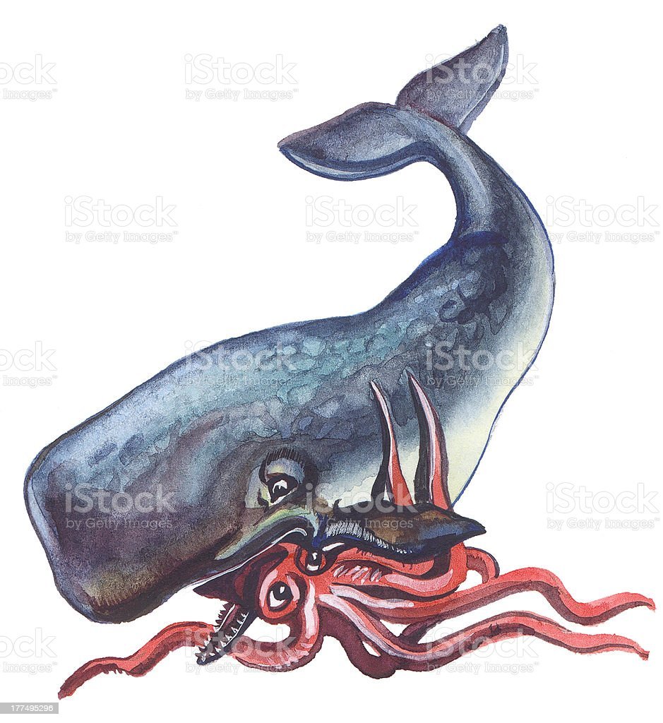 Кашалот и Спрут