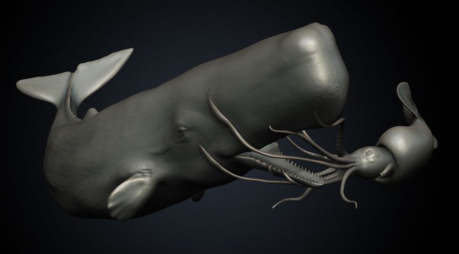 Гигантский кальмар и кит