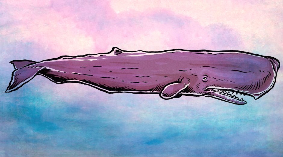 Кит Кашалот Моби Дик