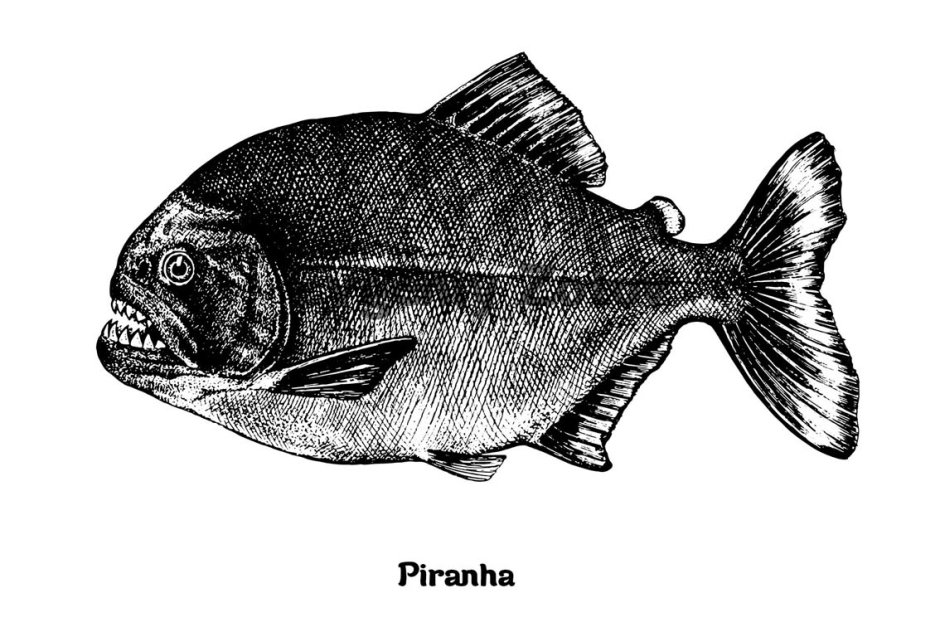 Пигоцентрус Доисторическая Пиранья