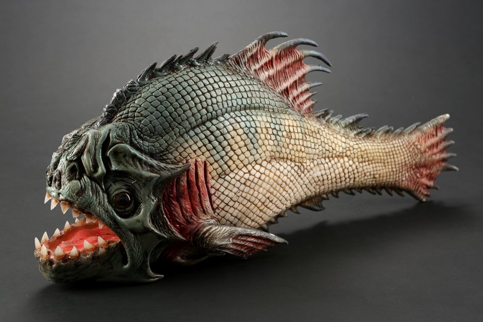 Строение челюсти пираньи