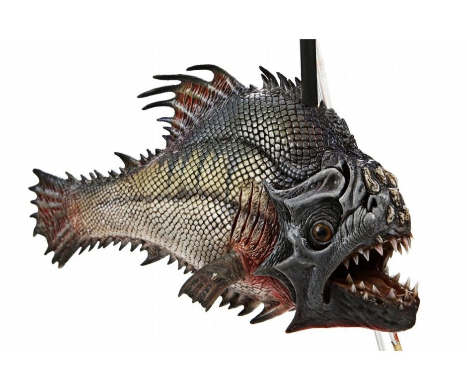 Ромбовидная Пиранья древняя