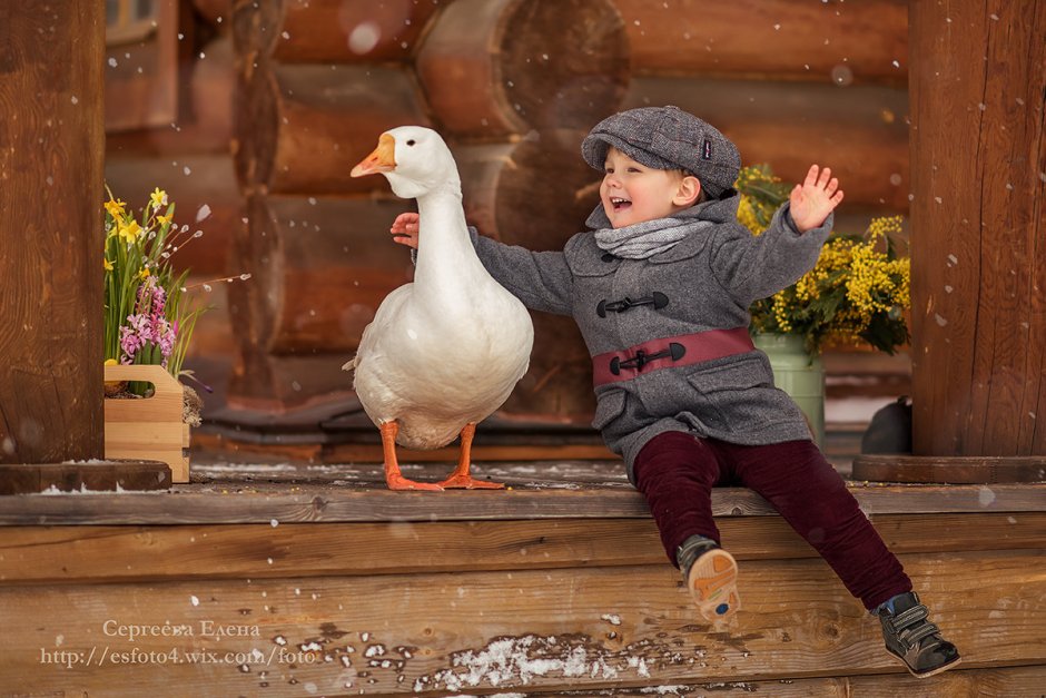 Фотосессия с гусями
