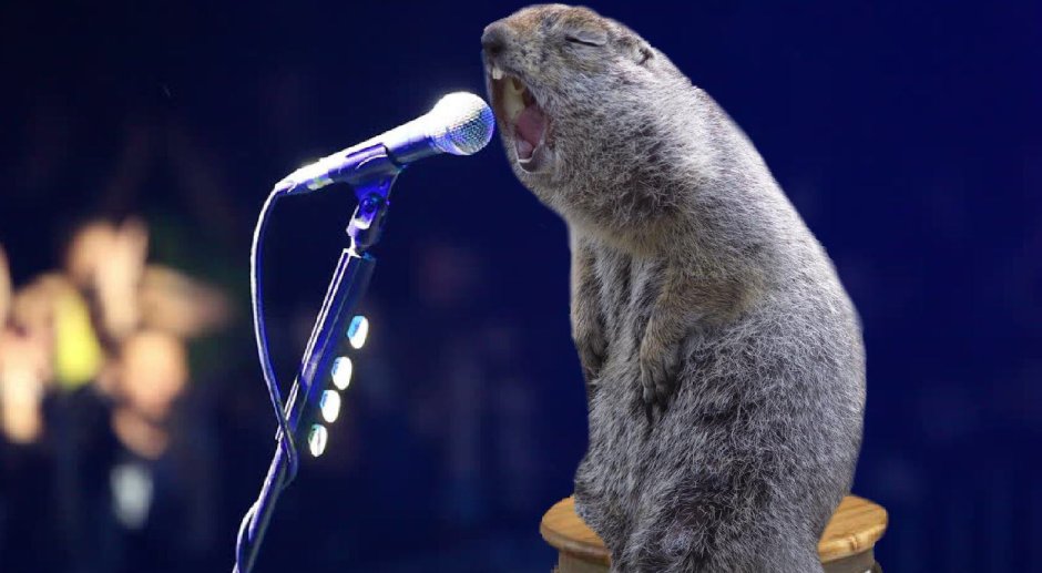 Поющие сурки