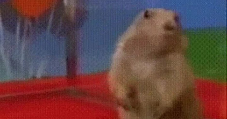 Драматичный суслик