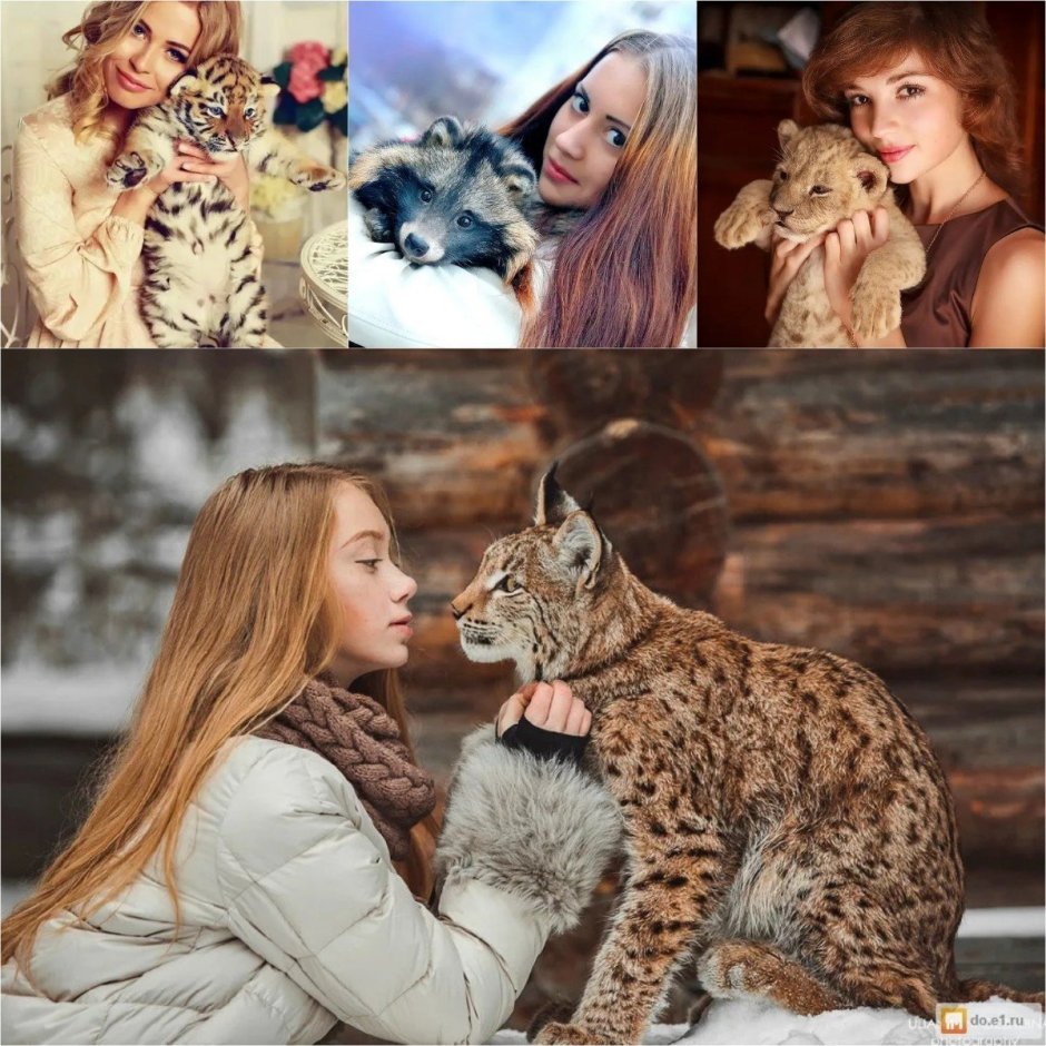 Ручная Рысь