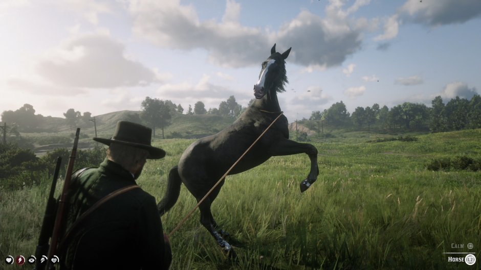 Red Dead Redemption 2 лошади