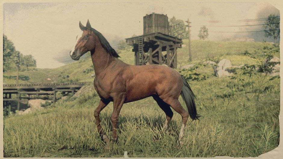 Red Dead Redemption 2 Ахалтекинская
