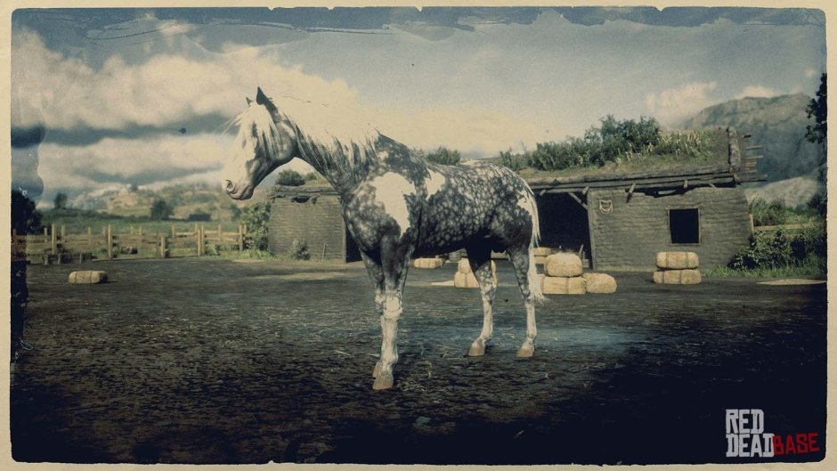 Бретонская лошадь rdr2